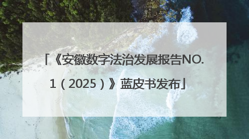 《安徽数字法治发展报告NO.1（2025）》蓝皮书发布