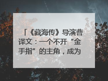 《藏海传》导演曹译文：一个不开“金手指”的主角，成为苍生守护者