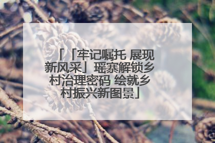 「牢记嘱托 展现新风采」瑶寨解锁乡村治理密码 绘就乡村振兴新图景