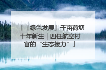 「绿色发展」千亩荷塘 十年新生｜四任航空村官的“生态接力”