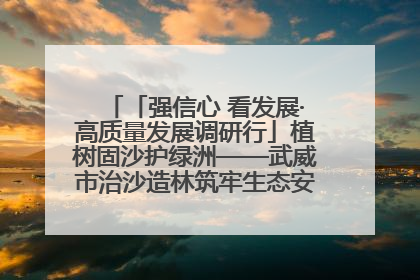 「强信心 看发展·高质量发展调研行」植树固沙护绿洲——武威市治沙造林筑牢生态安全屏障见闻