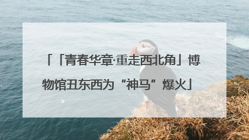 「青春华章·重走西北角」博物馆丑东西为“神马”爆火