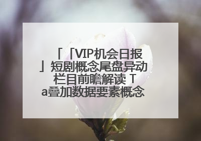 「VIP机会日报」短剧概念尾盘异动 栏目前瞻解读 Ta叠加数据要素概念 大涨近10%