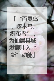 “百灵鸟、啄木鸟、织布鸟”，为仙居县域发展注入“新”动能