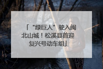 “绿巨人”驶入闽北山城！松溪县首迎复兴号动车组