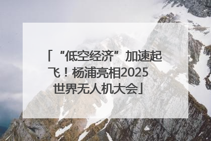“低空经济”加速起飞！杨浦亮相2025世界无人机大会