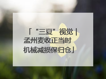 “三夏”视觉｜孟州麦收正当时 机械减损保归仓