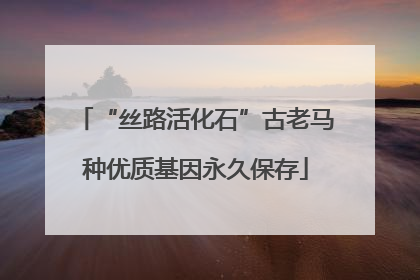 “丝路活化石”古老马种优质基因永久保存