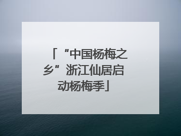 “中国杨梅之乡”浙江仙居启动杨梅季