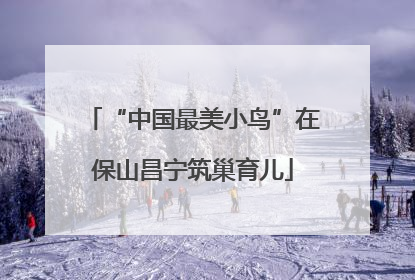 “中国最美小鸟”在保山昌宁筑巢育儿