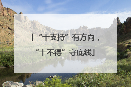 “十支持”有方向，“十不得”守底线
