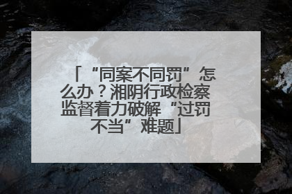 “同案不同罚”怎么办？湘阴行政检察监督着力破解“过罚不当”难题