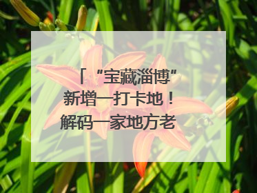 “宝藏淄博”新增一打卡地！解码一家地方老字号的“五星级”破局之路