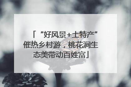 “好风景+土特产”催热乡村游，桃花涧生态美带动百姓富