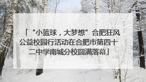 “小篮球，大梦想”合肥狂风公益校园行活动在合肥市第四十二中学南城分校圆满落幕