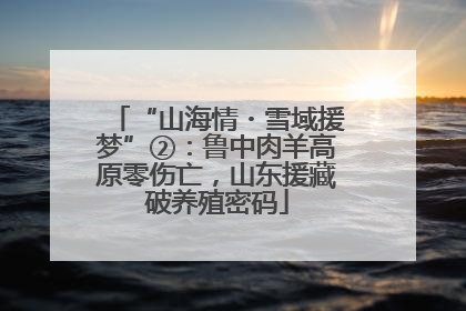“山海情・雪域援梦”②：鲁中肉羊高原零伤亡，山东援藏破养殖密码