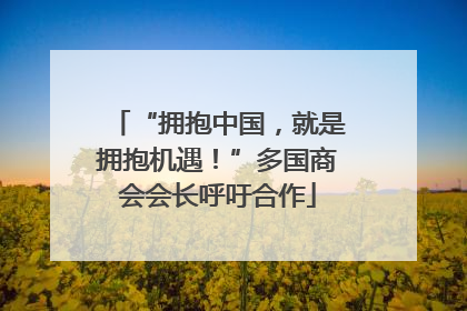 “拥抱中国，就是拥抱机遇！”多国商会会长呼吁合作