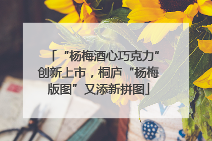 “杨梅酒心巧克力”创新上市，桐庐“杨梅版图”又添新拼图