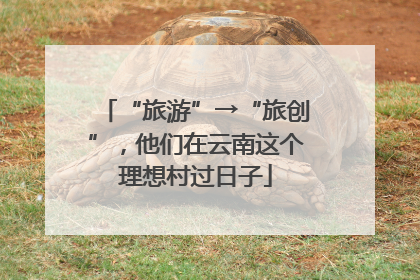 “旅游”→“旅创”，他们在云南这个理想村过日子