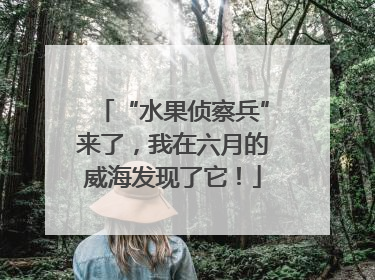 “水果侦察兵”来了，我在六月的威海发现了它！