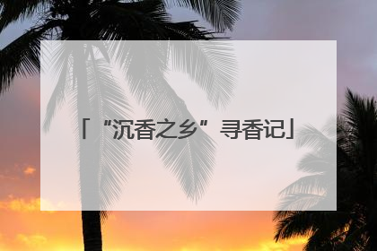 “沉香之乡”寻香记