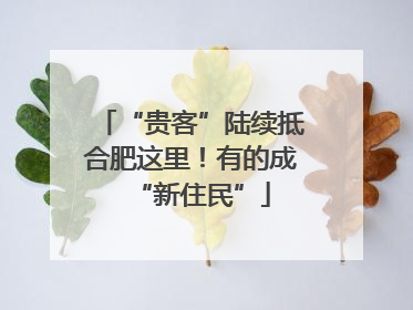 “贵客”陆续抵合肥这里！有的成“新住民”