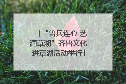 “鲁兵连心 艺润草湖”齐鲁文化进草湖活动举行