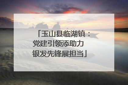 玉山县临湖镇：党建引领添助力 银发先锋展担当