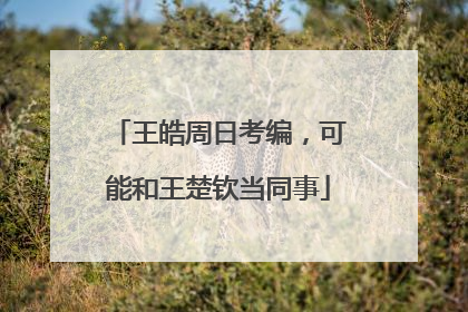 王皓周日考编，可能和王楚钦当同事