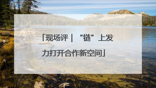现场评｜“链”上发力打开合作新空间