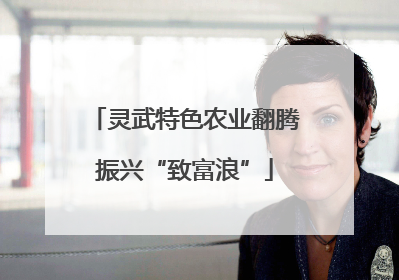 灵武特色农业翻腾振兴“致富浪”
