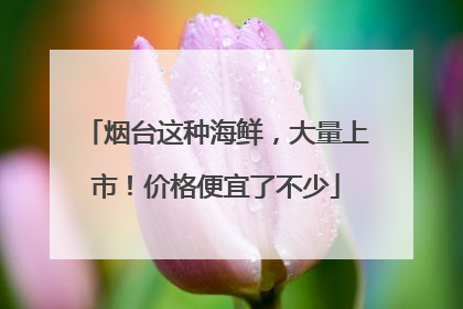 烟台这种海鲜，大量上市！价格便宜了不少