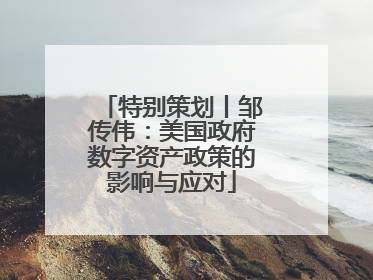特别策划丨邹传伟：美国政府数字资产政策的影响与应对