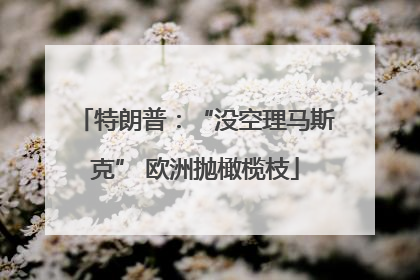 特朗普：“没空理马斯克” 欧洲抛橄榄枝