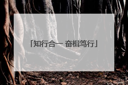 知行合一 奋楫笃行
