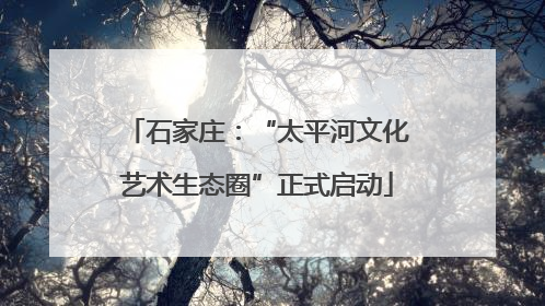 石家庄：“太平河文化艺术生态圈”正式启动
