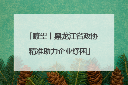 瞭望丨黑龙江省政协精准助力企业纾困