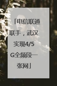 电信联通联手，武汉实现4/5G全频段一张网