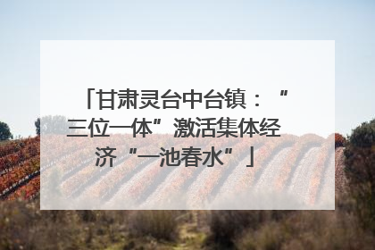 甘肃灵台中台镇：“三位一体”激活集体经济“一池春水”