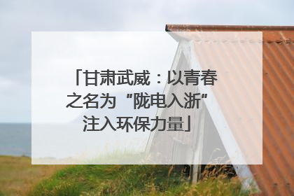 甘肃武威：以青春之名为“陇电入浙”注入环保力量