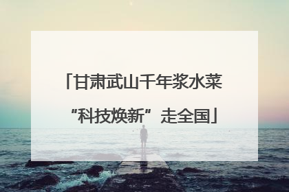 甘肃武山千年浆水菜“科技焕新”走全国
