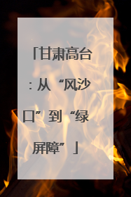 甘肃高台：从“风沙口”到“绿屏障”