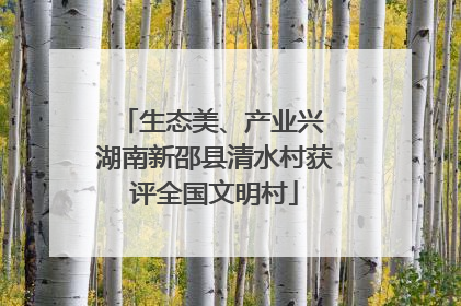 生态美、产业兴 湖南新邵县清水村获评全国文明村