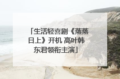 生活轻喜剧《蒸蒸日上》开机 高叶韩东君领衔主演