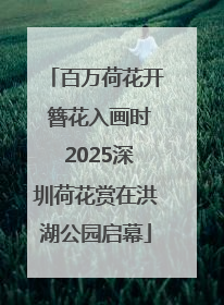 百万荷花开 簪花入画时 2025深圳荷花赏在洪湖公园启幕