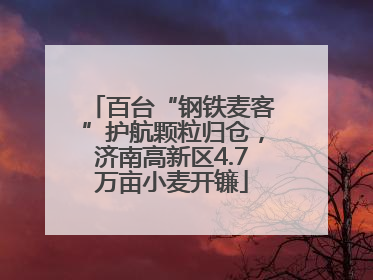 百台“钢铁麦客”护航颗粒归仓，济南高新区4.7万亩小麦开镰