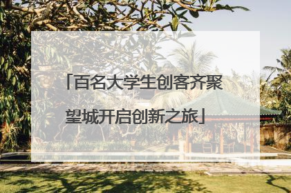 百名大学生创客齐聚望城开启创新之旅