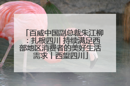 百威中国副总裁朱江柳：扎根四川 持续满足西部地区消费者的美好生活需求丨西望四川