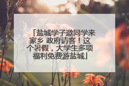 盐城学子邀同学来家乡 政府请客！这个暑假，大学生多项福利免费游盐城