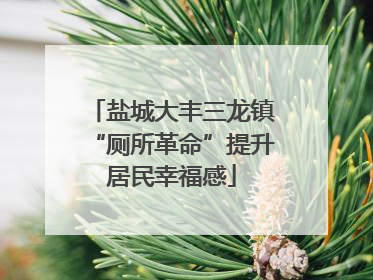 盐城大丰三龙镇“厕所革命”提升居民幸福感